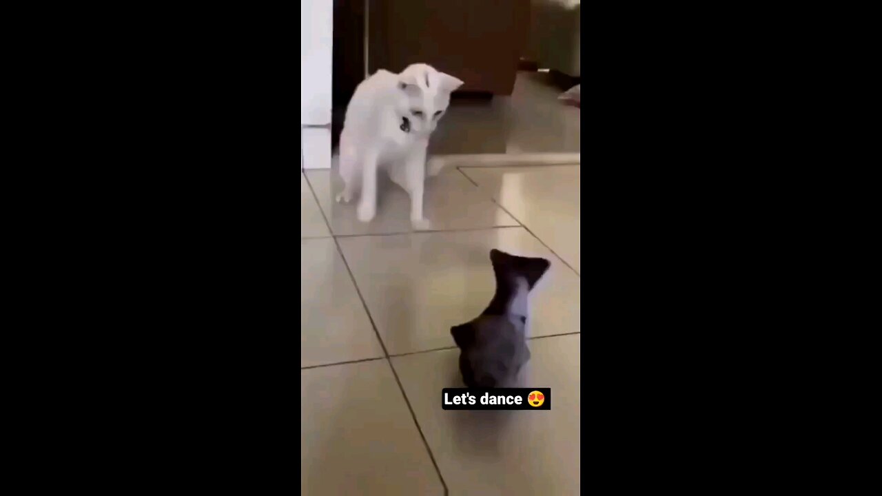 Let's Dance 😍