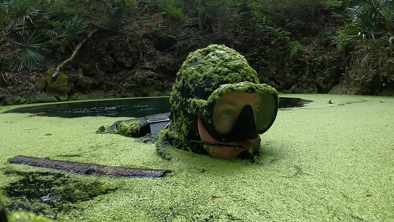 Cave Diving Florida's Peacock Springs - Gateway to the Aquifer