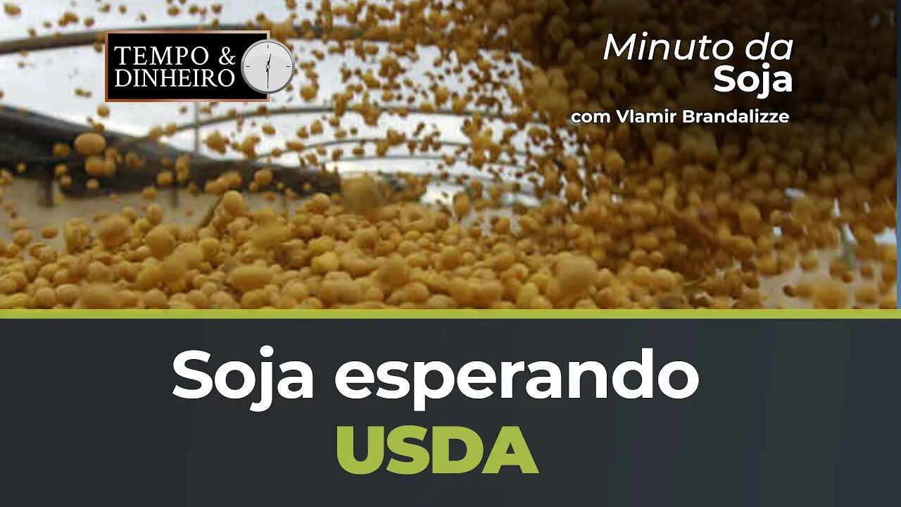 Soja esperando USDA com corte na Safra