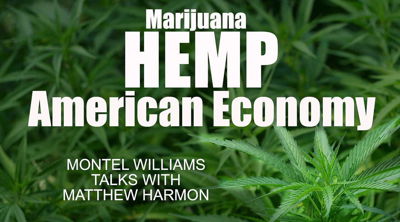 HOW TO MAKE A BILLION DOLLARS FROM HEMP | MATTHEW HARMON [US hemp trade deficit]