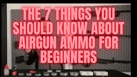 The 7 Things You Should Know About Airgun Ammo For Beginners