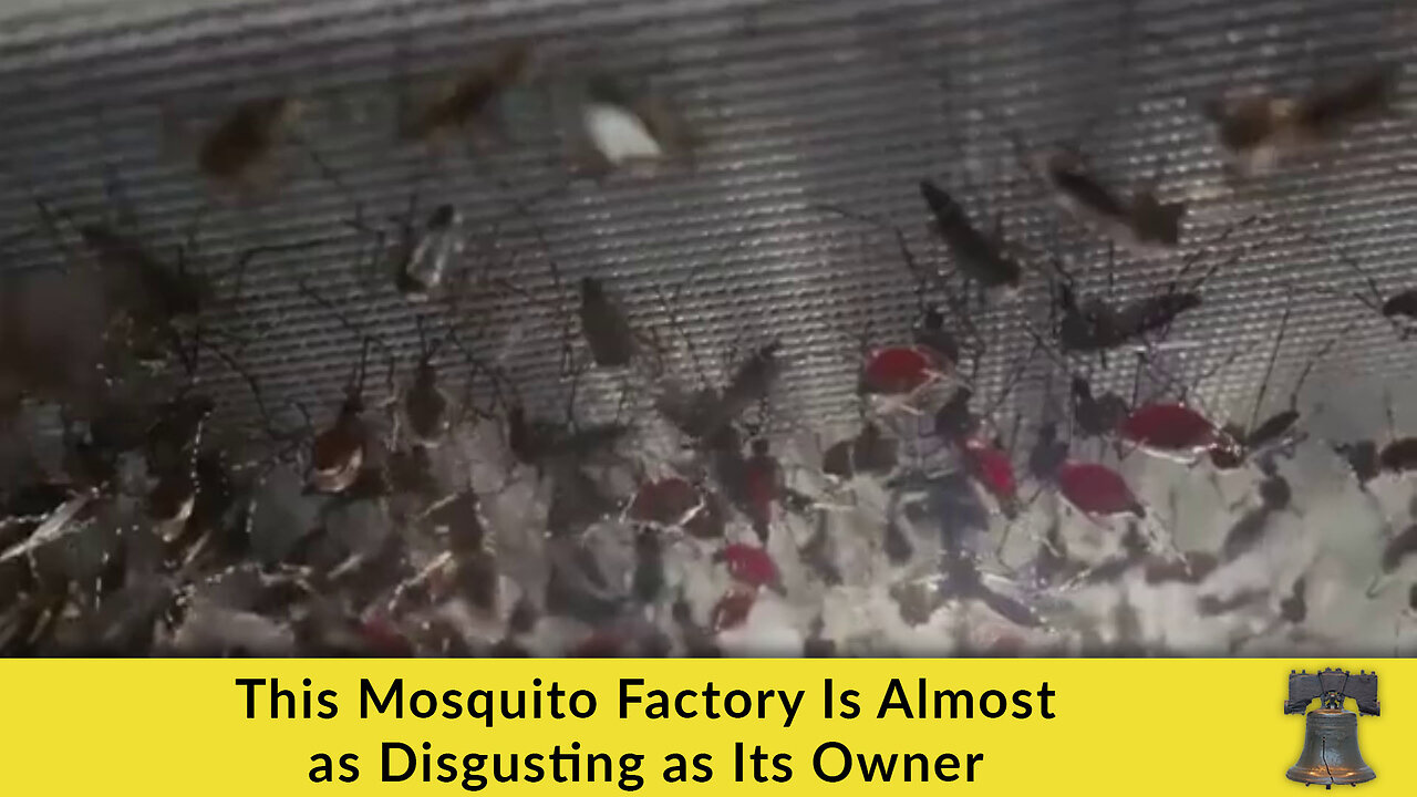 This Mosquito Factory Is Almost as Disgusting as Its Owner