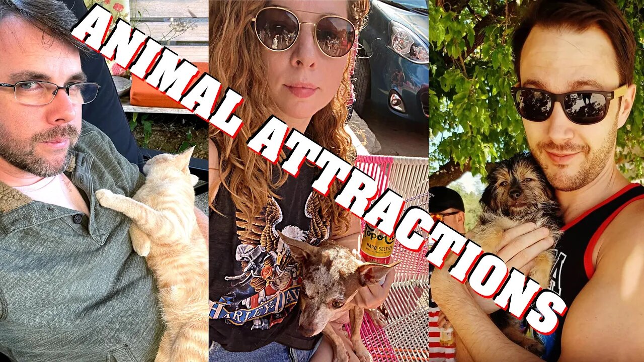 Animal Attractions | Live with Meghan Murphy & Colin Wright