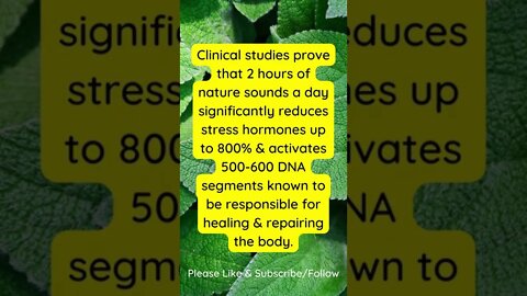 Nature Sounds Reduce Stress