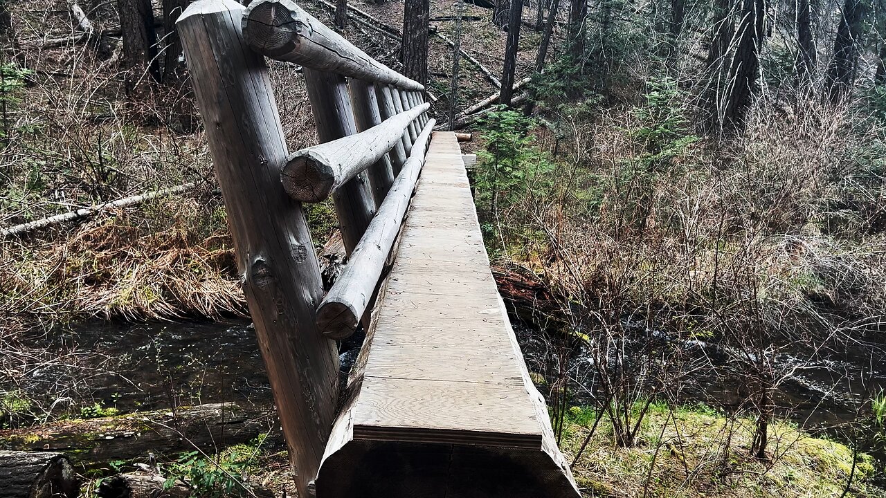 Crossing RUSTIC Log Bridge & JADE Colored Metolius River in Central Oregon 4K!