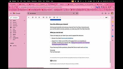cara appeal yt suspended 2023