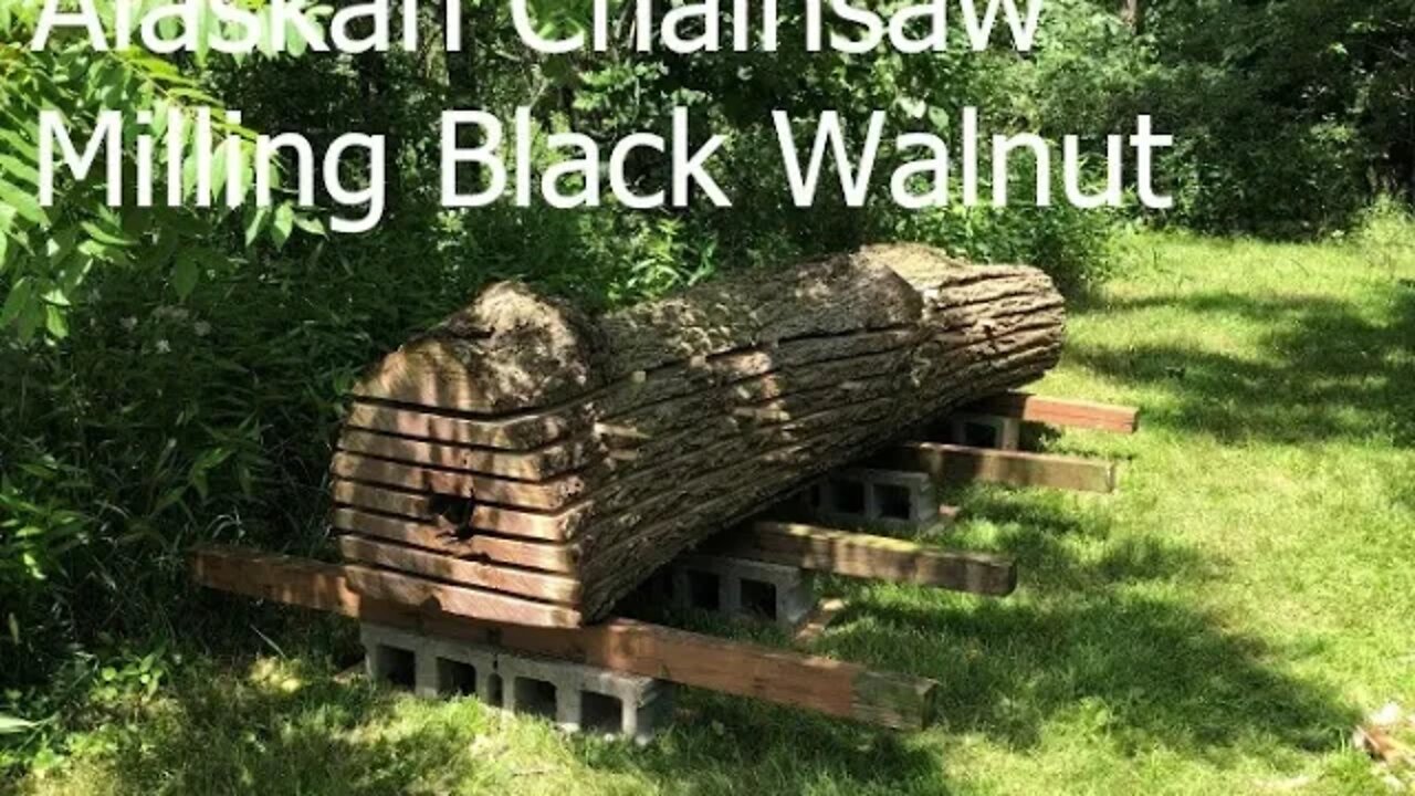 Alaskan Chainsaw Milling Black Walnut