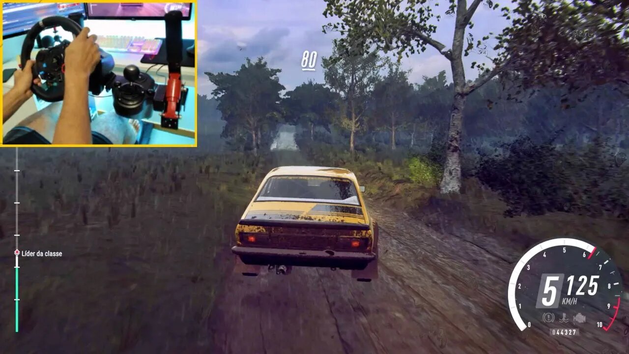 Dirt Rally 2.0 GAMEPLAY OPEI KADETT C GT/E Steering Wheel + Shifter G29