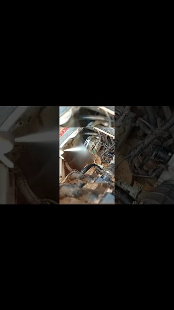 #shorts #2022 funny,prank,funjokes,dad jokes,funny memes,funny video,fun,laughing,funny animal,knock