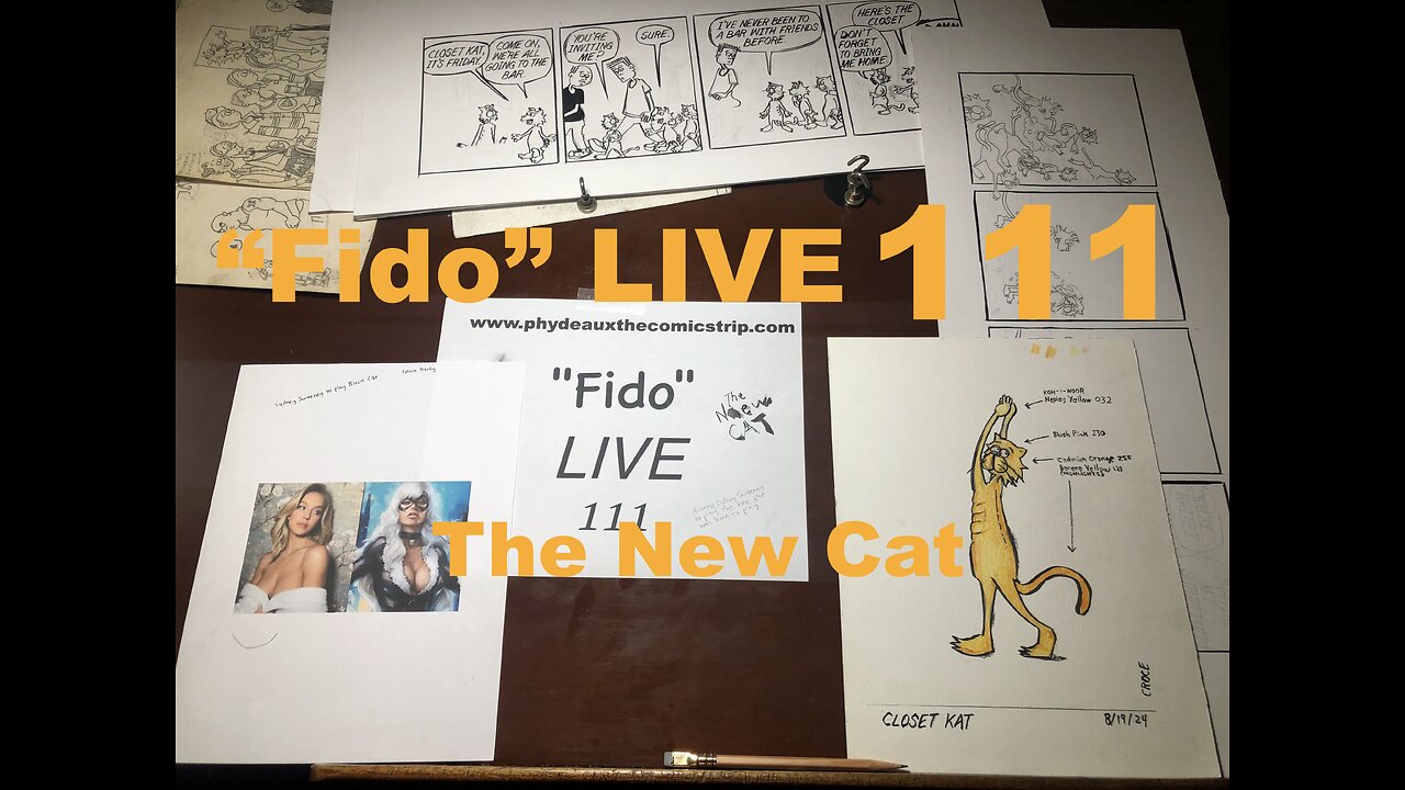 "Fido" LIVE 111: The New Cat