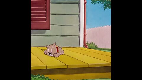 Tom and Jerry Funny Episodes🤣