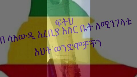 የሳዉዲ ስቃይ መች ይሆን ሚያበቃዉ 😭 😭