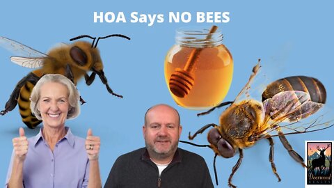 Bees…Important…maybe not in a subdivision … Deerwood Realty and Friends…Ep. 28