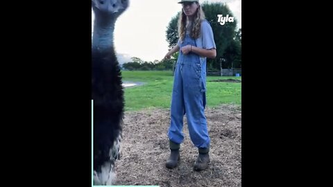I own these pictures, where is the camera?