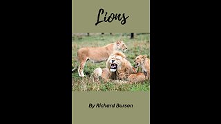 Lions by Richard Burson