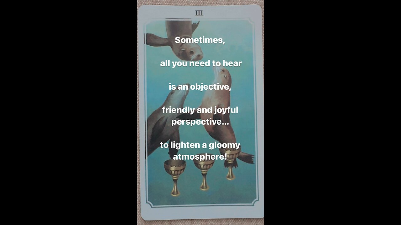 MEDITATION #safespace #unburden #ease #cheer #friendship #perspective #tarot #tarotary #dailycard