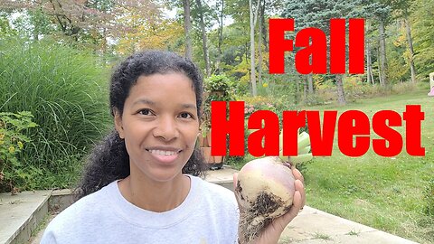 Harvest with me & an epiphany