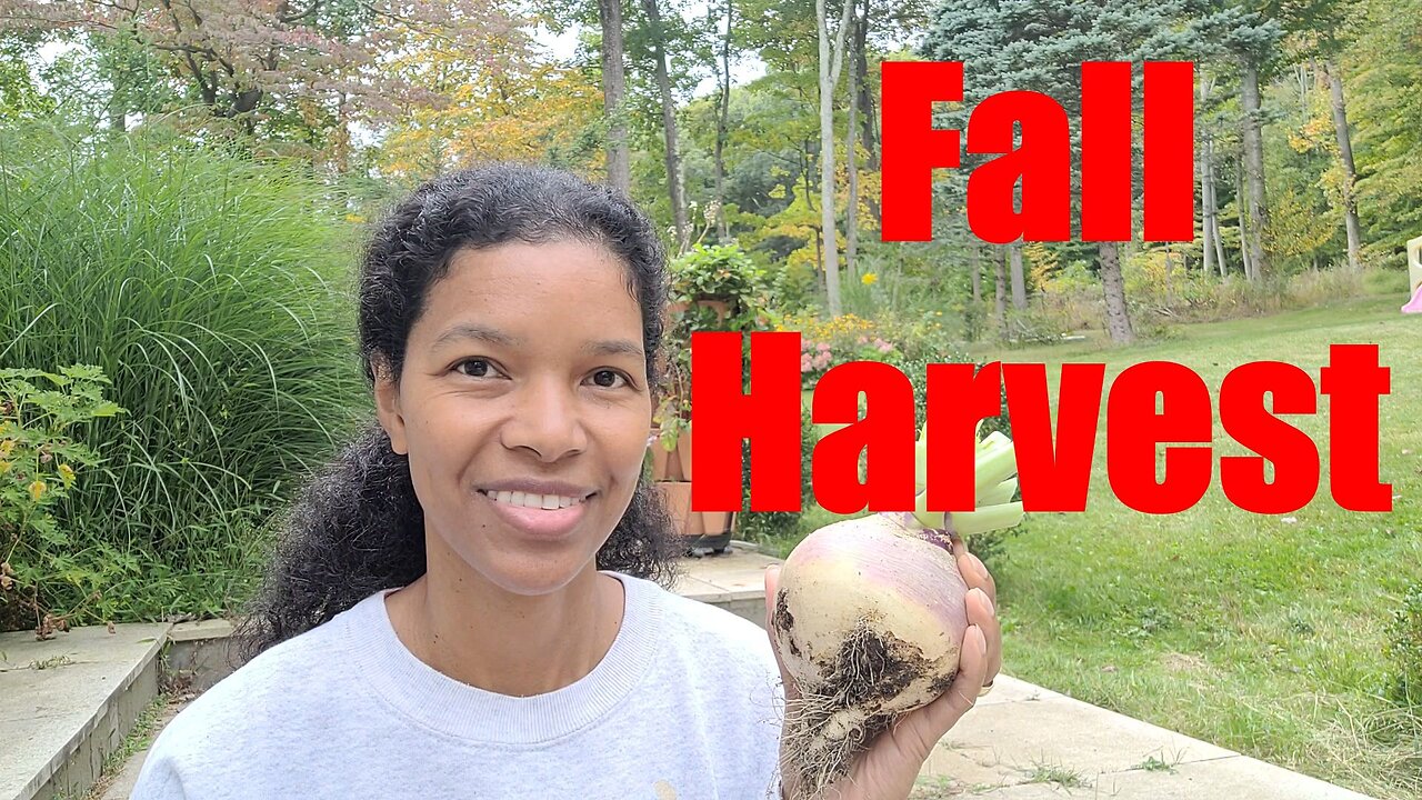 Harvest with me & an epiphany