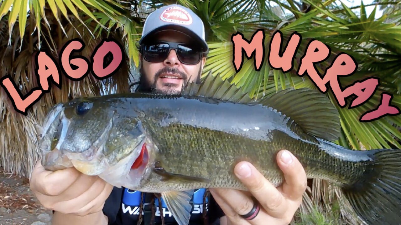 pesca de lobina en lake Murray #SanDiegocalifornia (BASS FISHING)