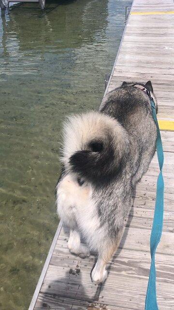 It will accomplish all I want it to.