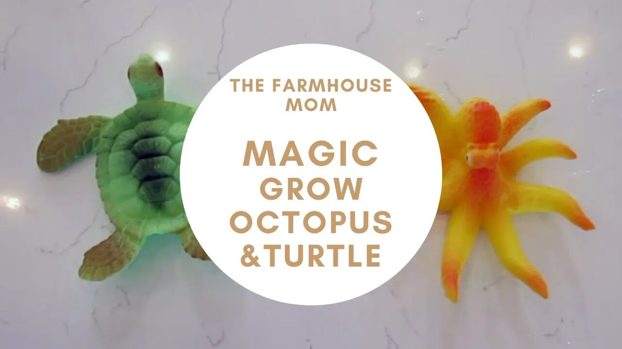 *KIDS CRAFT* MAGIC GROW MEGA OCTOPUS/MAGIC GROW MEGA TURTLE