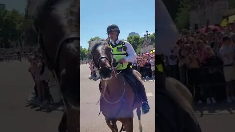 police push back the crowd with their horse #buckinghampalace