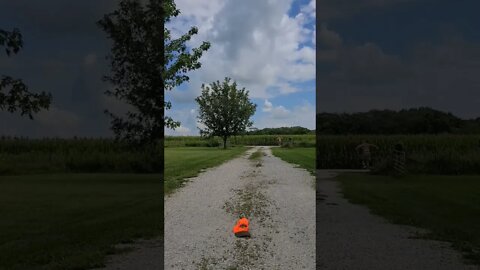 140 feet, Crazy 🤪 old man, Discus Throw practice