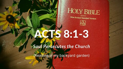 ACTS 8:1-3 (Saul Persecutes The Church)