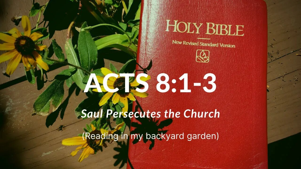 ACTS 8:1-3 (Saul Persecutes The Church)