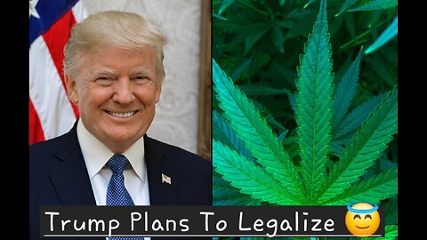 Trump Plans To Legalize Marijuana