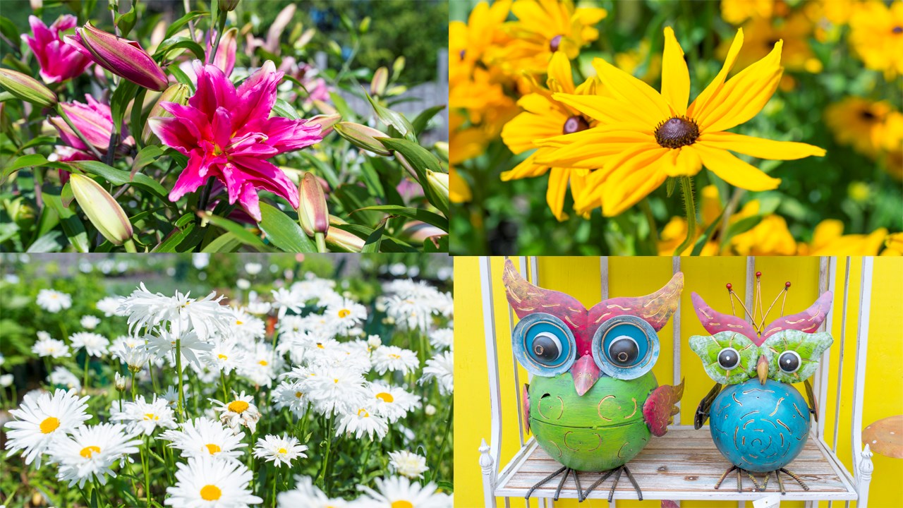 Serres promotion estivale 2017