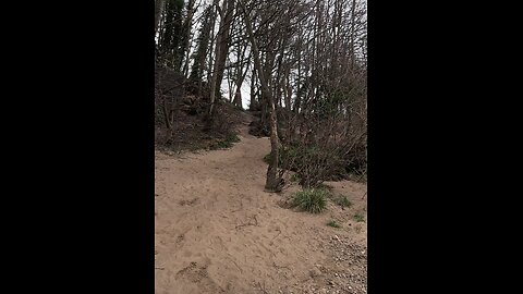 Down by river