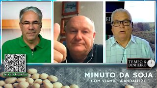 Milho segue firme com pouca oferta