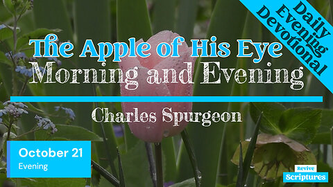 October 21 Evening Devotional | The Apple of His Eye | Morning and Evening by Charles Spurgeon