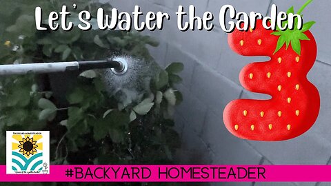 Ambient Lets Water the garden together | Episode 3