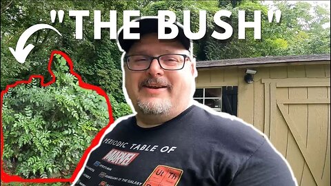 Backyard Makeover | Episode 2 : The Bush