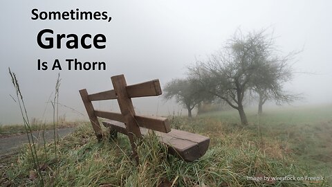 Sometimes, Grace is a Thorn