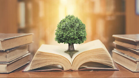 The Book of Proverbs (Proverbs 19)