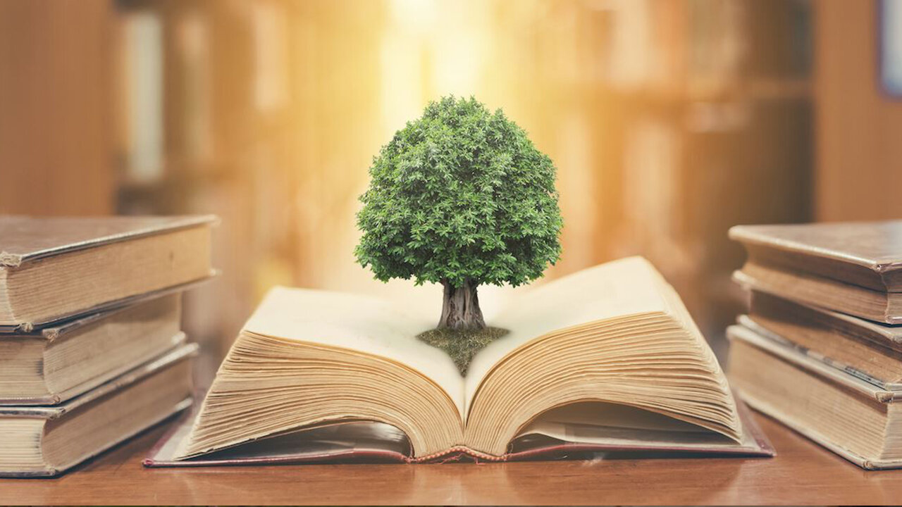 The Book of Proverbs (Proverbs 19)