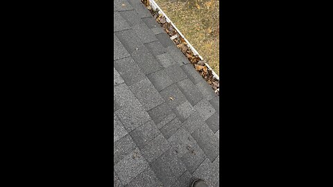 Gutter cleaning