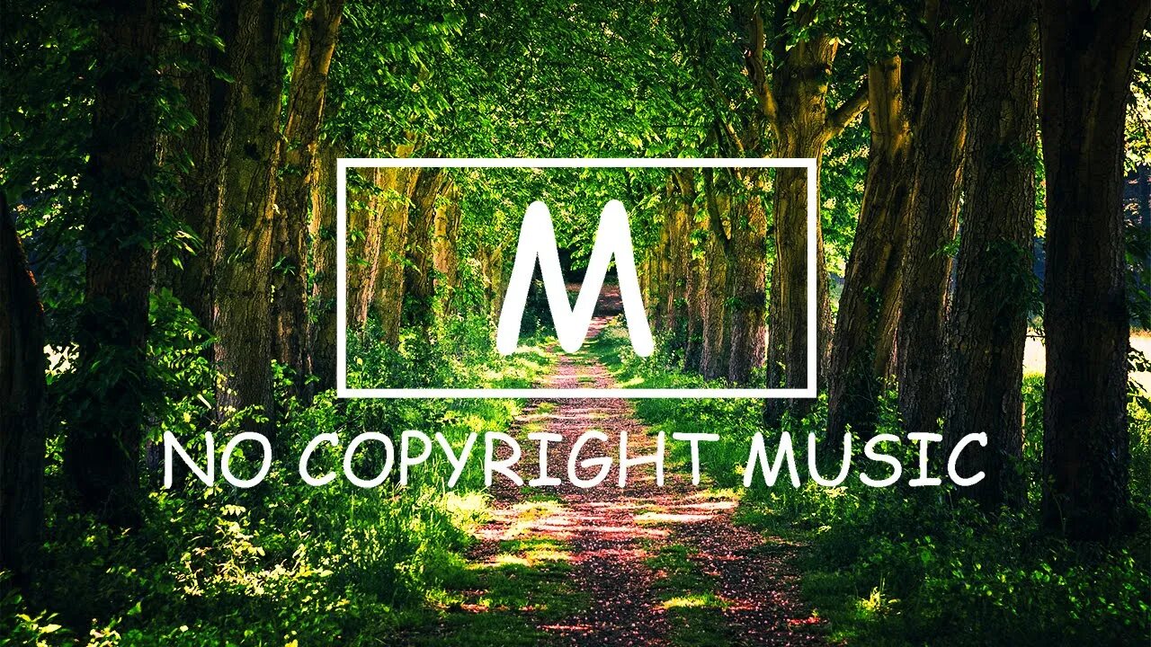 NOWË - Realize（Mm No Copyright Music）