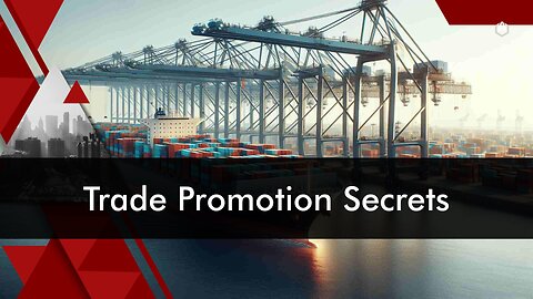 Maximizing International Business Success: Exploring Trade Promotion Schemes