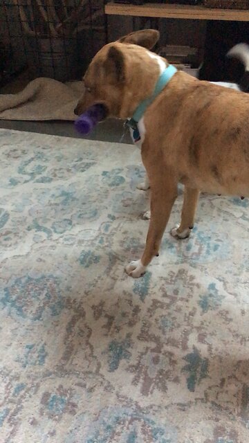 Jake and Eva “watching” Quite Frankly