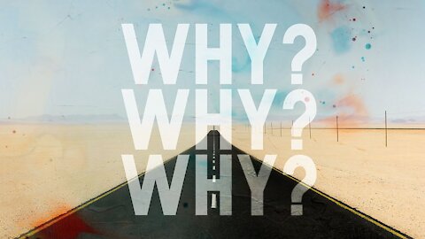 Why? Why? Why?