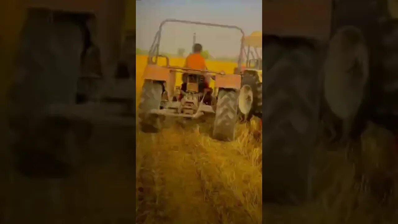 funny videos ♥️😂🤣