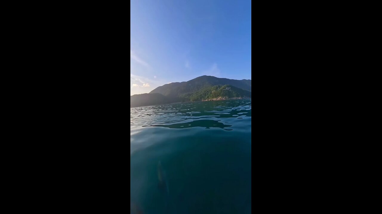 os melhores momentos