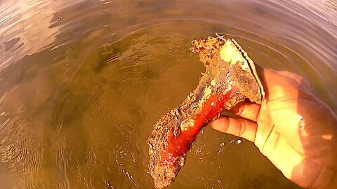 Mancing Ikan dengan Cara Berbeda Mencari Kerang sebagai Alternatif Menarik Saat Tali Pancing Putus