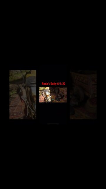 Reda’s Daily 6/1/22