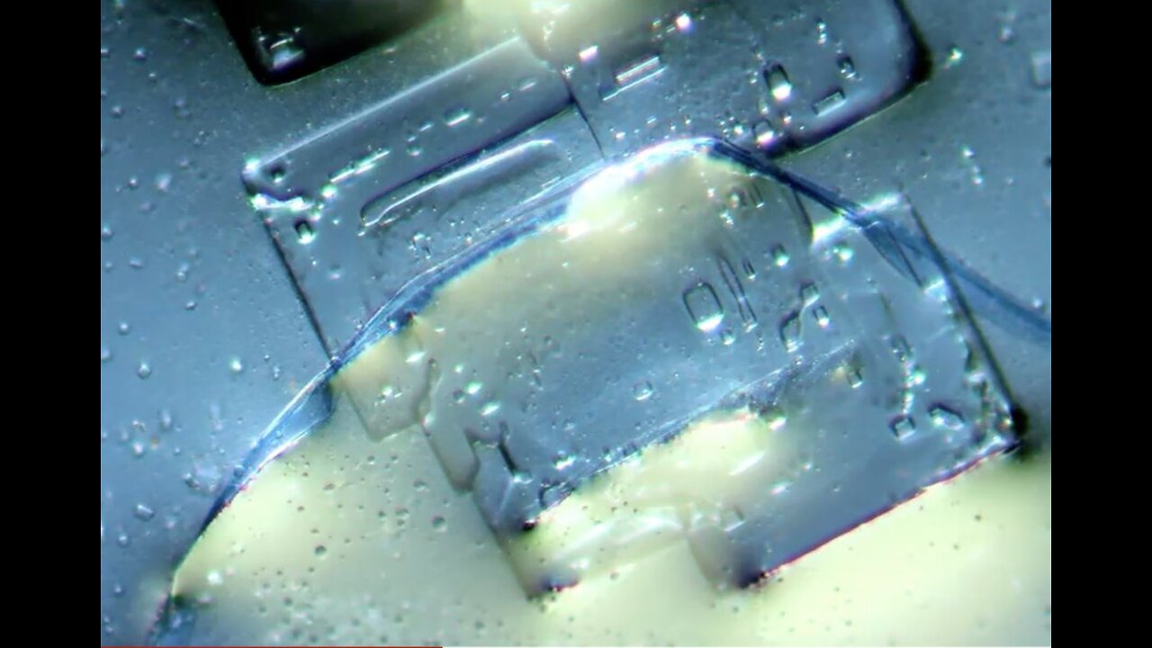 Is There Really Micro Computers, Nanotech And Luciferase In The Vaccines? Yes