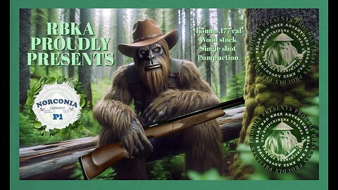 A other norconia P1. .177cal wooden stock